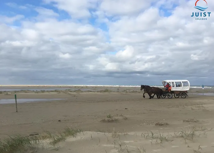 Apartman Haus Rosengang 318 - Traumblick *